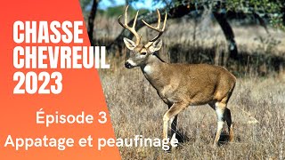 Chasse chevreuil 2023 Appatage et finalisation de la cache Ep3 [upl. by Amalberga]