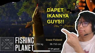 Cara Mendapatkan Ikan Grass Pickerel   Fishing Planet Indonesia [upl. by Itnava769]