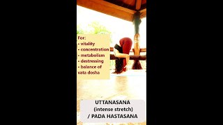 Uttanasana Intense stretch forwardfold uttanasana yoga forwardbend [upl. by Arman]