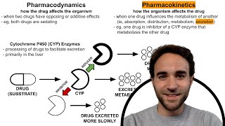 CYP Enzyme Inhibitors amp Inducers Psychotropic DrugDrug Interactions [upl. by Osber]