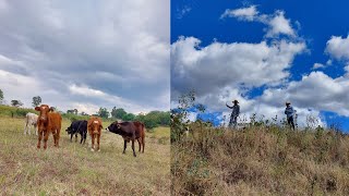 1 HORA DE FOTOS DE CAMPORANCHO NUEVO COMIENZO  RELAX  Deja de pensar y disfruta de la naturaleza [upl. by Notelrac143]