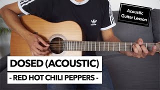 Dosed  Red Hot Chili Peppers  Acoustic Guitar Lesson  Solo [upl. by Odraner]