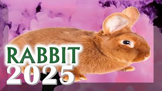 Rabbit Horoscope 2025  Born 2023 2011 1999 1987 1975 1963 1951 1939 [upl. by Acinoreb]