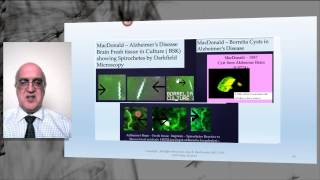 Borrelia Syndromes in Deep Tissues and in Chronic Infections [upl. by Broucek282]