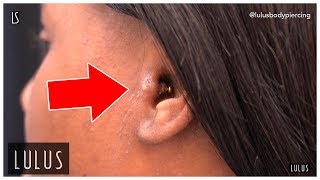 Wow This Tragus Piercing Is BAD [upl. by Ayamat]