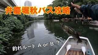 弁慶堀秋バス攻略 ～釣れルート A or B ？～ [upl. by Nwahsek]