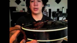 Holoubek F5 Mandolin Review [upl. by Daza867]