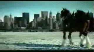 Budweiser 911 tribute commercial [upl. by Malita]