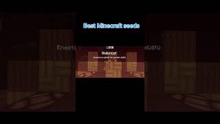 Best Minecraft seeds minecraft minecraftshorts minecraftmemes minecraftpe [upl. by Ayoj]