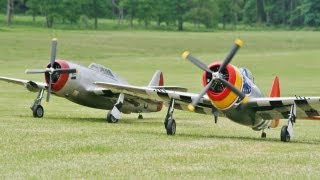 TWO GIANT 14 SCALE MOKI 250 cc CARF P47 THUNDERBOLTS  WESTON PARK RC MODEL AIRSHOW  2013 [upl. by Richey]