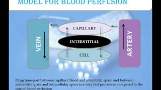 Physiologically Based Pharmacokinetic model [upl. by Atinav]