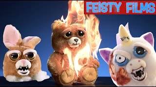 Feisty Pets Get Hacked Up on Film Compilation [upl. by Airottiv]