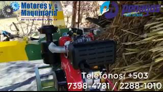 ENSILADORA PICADORA PE800 DE FORRAJES AGRÍCOLAS [upl. by Emsoc]