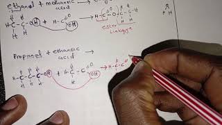 Organic Chemistry ⚗️🧪  Esters and their uses [upl. by Nollaf]