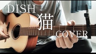 猫DISH COVER弾き語り [upl. by Thekla]