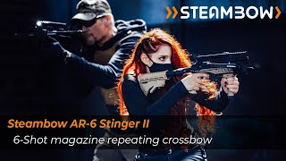 Introducing the Steambow AR6 Stinger II [upl. by Alistair]