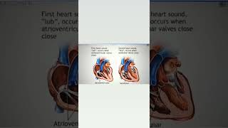 Lub Dub sound of heart ll S1 and S2 sound of heart heart nursingscience [upl. by Modern262]