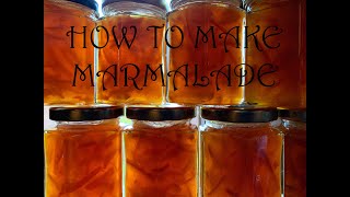 How to make Apricot amp Seville Orange Marmalade [upl. by Editha]