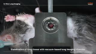 Lung Imaging In Vivo Imaging Technique by IVIM Technology [upl. by Zinn]