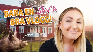 Det blir ALLTID så här🙈  VLOGG [upl. by Karlene]