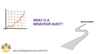 What is a behaviour audit [upl. by Werner]