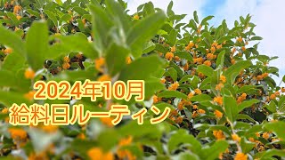 2024年10月給料日ルーティン今月の給与額公開30代実家暮らし低収入 [upl. by Atnahs]