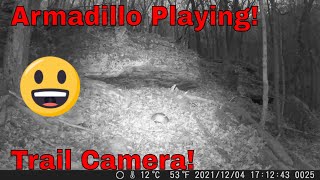 Missouri Trail Camera Captures Monster Armadillo Night Time Trail Camera Footage Campark T20 [upl. by Nnybor]