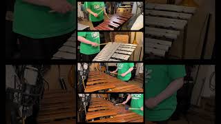 House from Zelda Ocarina of Time for percussion quartet [upl. by Unity850]