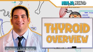 Endocrinology  Thyroid Overview [upl. by Netsruk916]