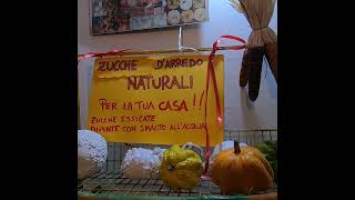 Tutto Zucche Andezeno [upl. by Eux]