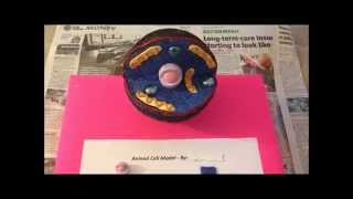 How to Make an Animal Cell Model Easily [upl. by Baalbeer141]