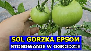 Sól Epsom na Pomidory Ogórki Warzywa Owoce Kwiaty Iglaki Gorzka Sól Stosowanie w Ogrodzie Uprawa [upl. by Nivel]