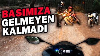 MOTORLARLA ORMANA GİRDİK  252 BEYGİRLE  ORMAN MOTOVLOG [upl. by Atalya]