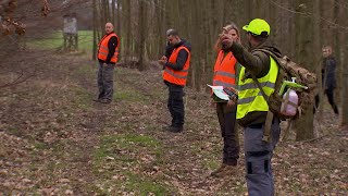 Schweinepest Bekämpfung im Landkreis SpreeNeiße [upl. by Jorgensen]