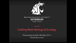 Codling Moth Biology and Ecology [upl. by Reeba]