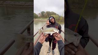 Minnows amp Shiners The Tiny Titans bassfishing fishing river [upl. by Goff]