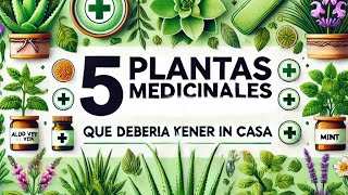 5 Plantas Medicinales que Deberías Tener en Casa 🌿 ¡Beneficios y Cuidados PlantasMedicinales [upl. by Remark908]