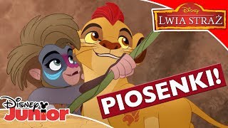 🎶 Piosenki Lwiej Ziemi  Lwia Straż  Disney Junior Polska [upl. by Cates]