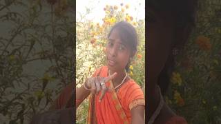 Tu haske bolelu Jan dj song music phojpurishort video priya vlogs 23 [upl. by Nirik]