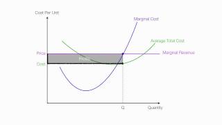 Introduction to Perfect Competition [upl. by Odracer]