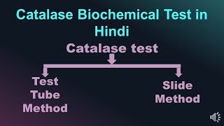 Catalase Biochemical Test in Hindi  Microbiology with Sumi [upl. by Ardnaet]