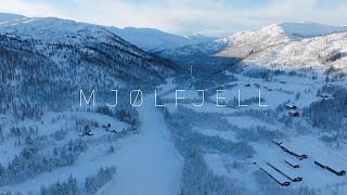 Epic Drone Footage Of The Scenic Bergen Line Train Journey [upl. by Cilo]