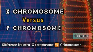 X and Y chromosome explain Difference between X chromosome vs Y chromosome chromosome [upl. by Freemon]