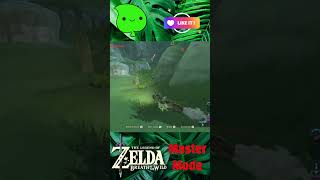 Zelda BOTW  Oops I broke it shorts zelda [upl. by Ogaitnas71]