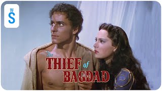 The Thief of Bagdad 1940  Scene Jaffar uses magic to blind Ahmad and turn Abu into a dog [upl. by Swayder]