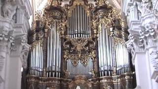 The Largest Cathedral Organ [upl. by Sheets]