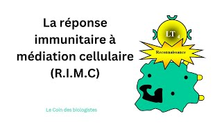 La réponse immunitaire à médiation cellulaire RIMC [upl. by Territus]