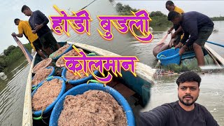 होडी बुडली कोलमान  transparent 🦐 prawn species fishing Mumbai India fishing [upl. by Anilet426]