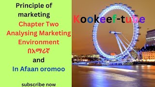 Analysing Marketing Environment in Amharic and Afaan Oromooprinciple of marketing marketing [upl. by Cappella]