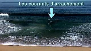 les courants darrachement [upl. by Doraj]